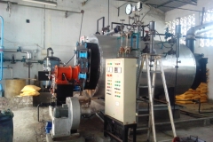 DUAL-FUEL-OILGAS-FIRED-BOILERS